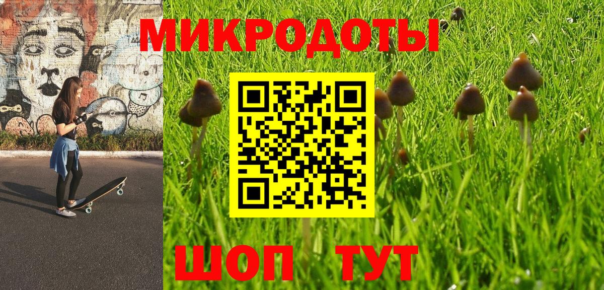 Галлюциногенные грибы мухоморы  Вход с VPN  Большой Камень 