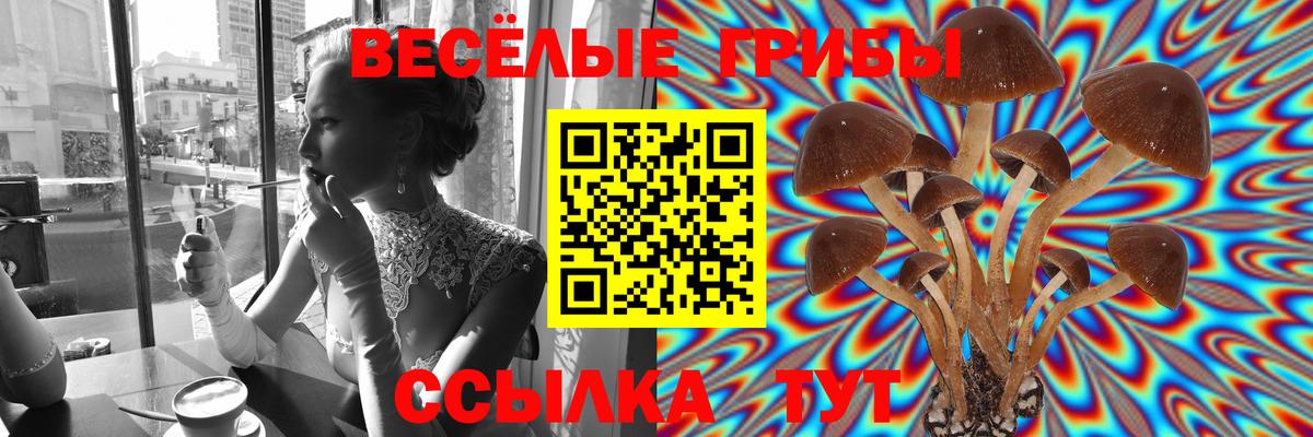 Мяу-Мяу  Метадон  Где продают наркотики?  ЛЁД  Меф  Ляпка  A-PVP  Марихуана  Большой Камень  КОКАИН  Вход с VPN 